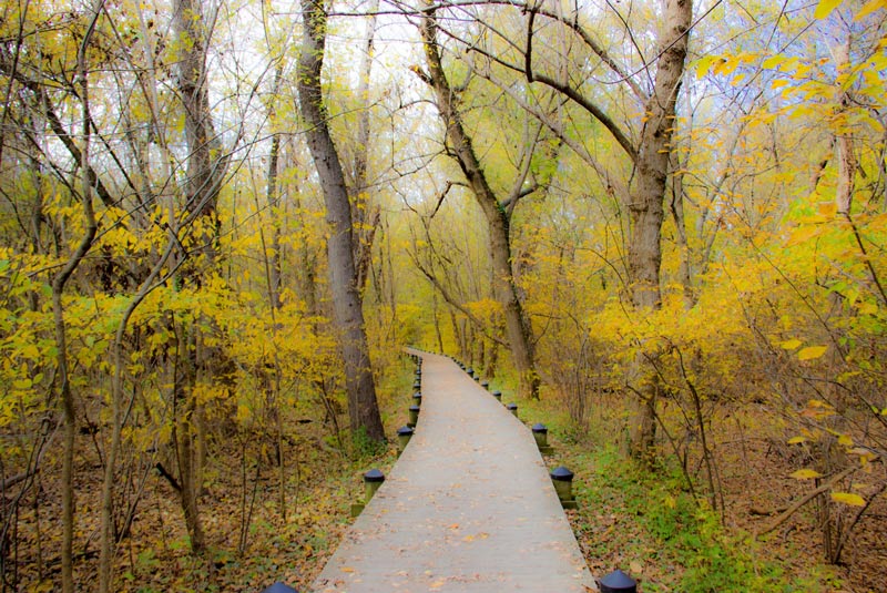 The Perfect 3-Day Washington DC Itinerary 23 Theodore Roosevelt Island