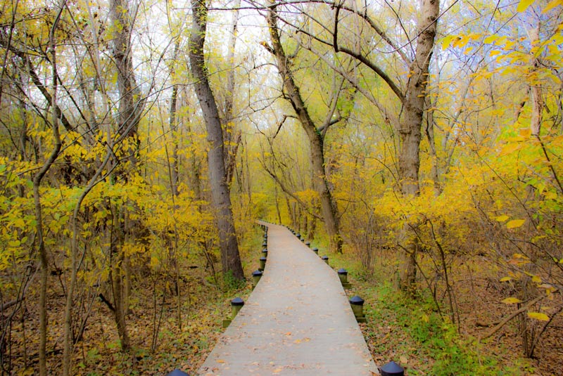 Theodore Roosevelt Island