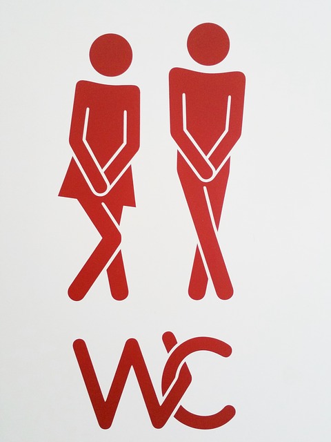 WC stands for Water Closet (aka the bathroom)