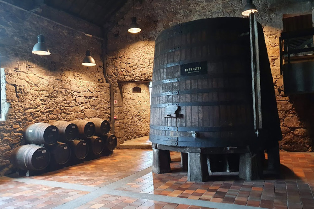 Burmester Port Cellar