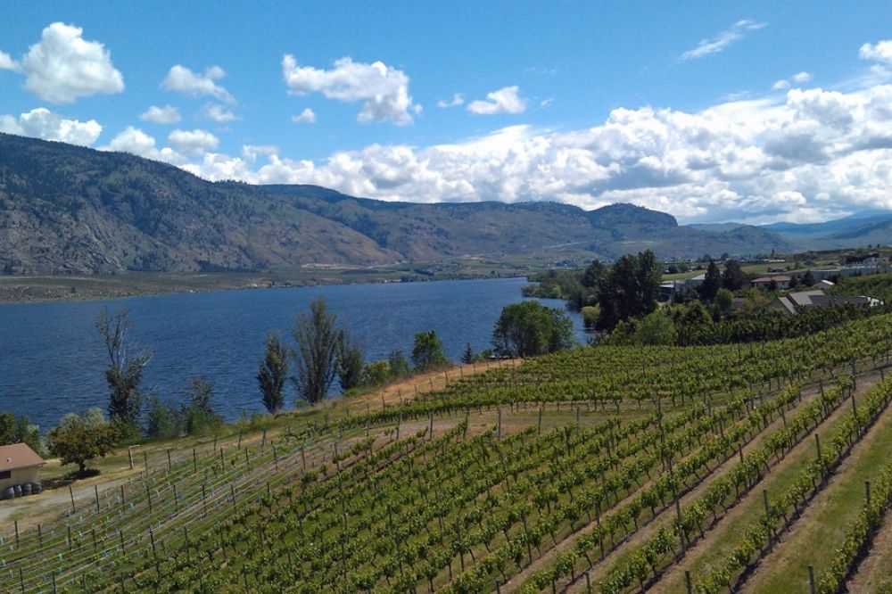 Best Wineries in Okanagan Valley to Visit (Canada) 9 Lake Okanagan and surrounding vineyards - best wineries in Okanagan