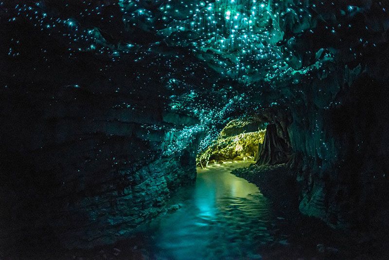 Inside the glowworm grotto