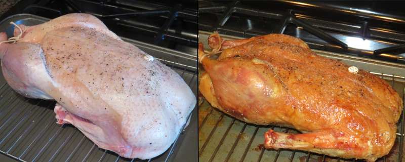 The duck - before and after roasting