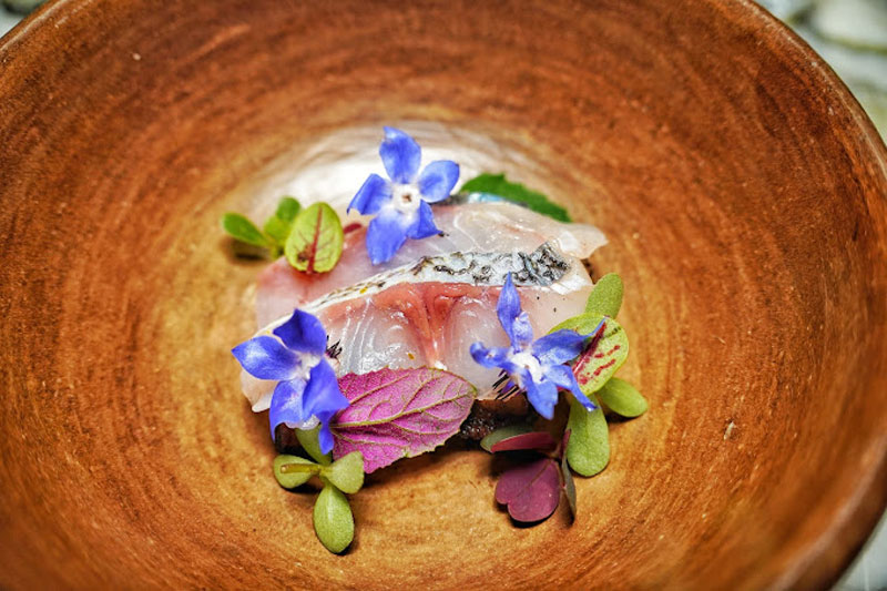 9 Mexico City Food Experiences Not to Miss 22 Quintonil