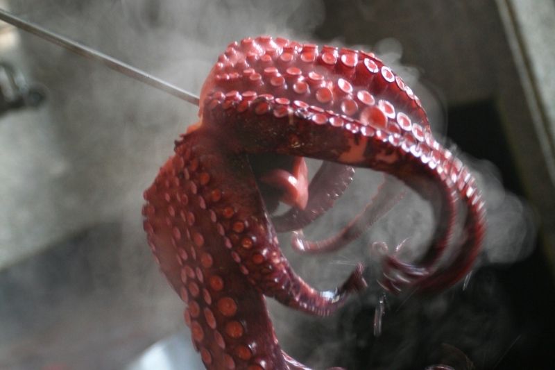 How to Make Pulpo a la Gallega 2 cooking octopus