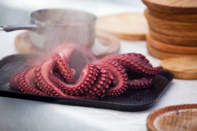 How to Make Pulpo a la Gallega 3 octopus resting