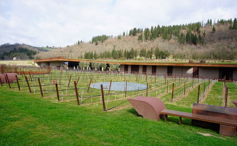 Explore the Stunning Chianti Region on a 4-Day Self-Guided Wine Tasting Tour 13 The beautiful terrace and vineyards of Antinori.