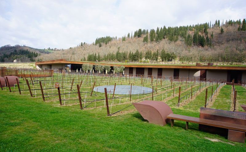 The beautiful terrace and vineyards of Antinori.