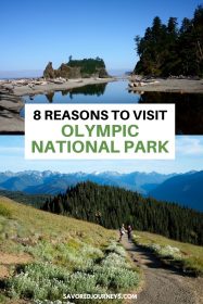8 Reasons to Visit Olympic National Park