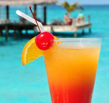 36 Best Beach Drinks to Order at All-Inclusive Resorts (+ Recipes!) 33 Sex on the Beach