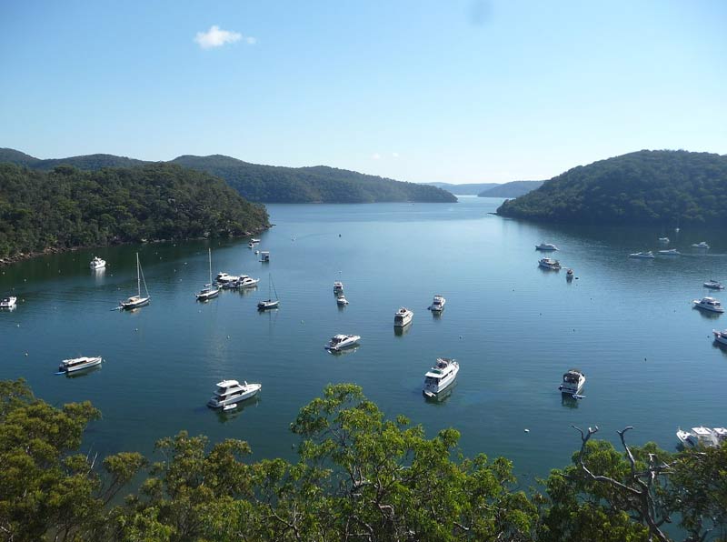 The Most Gorgeous and Unexplored Spots in Sydney 4 Ku-Ring-Gai National Park