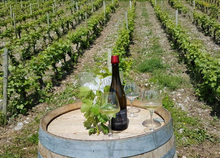 Wine Tasting in the Savoie Wine Region of France Savored Journeys