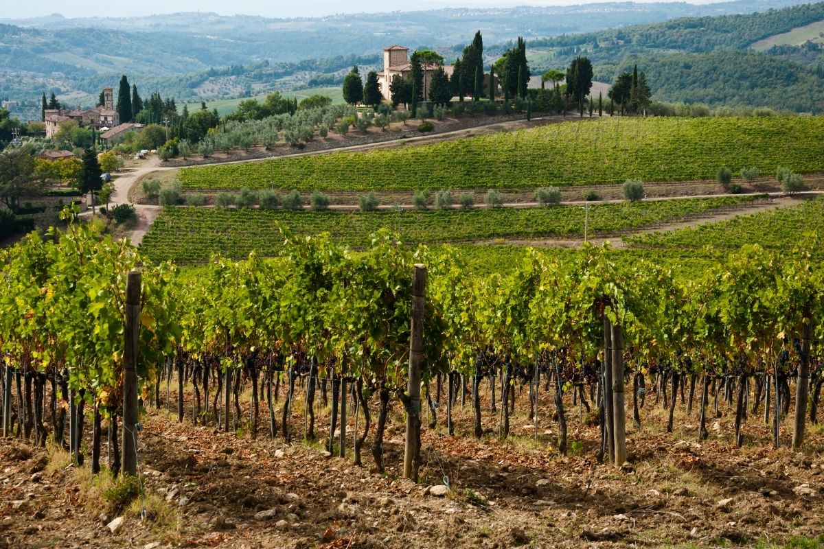 chianti wine tour reddit