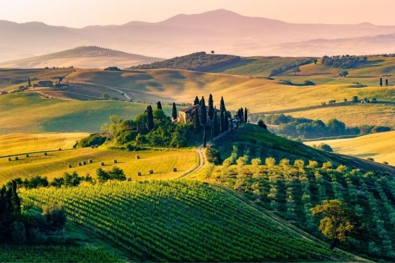 11 MustVisit Tuscany Wineries Savored Journeys