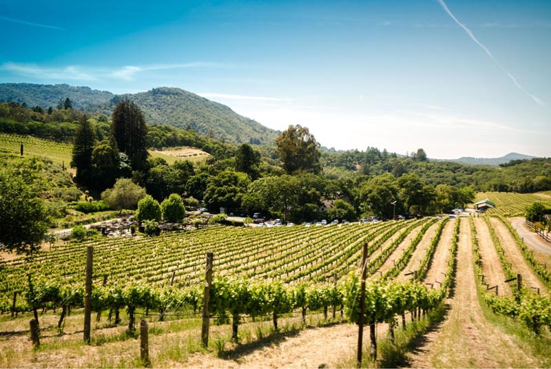 Best California Wine Regions to Visit 8 Sonoma Valley vineyards