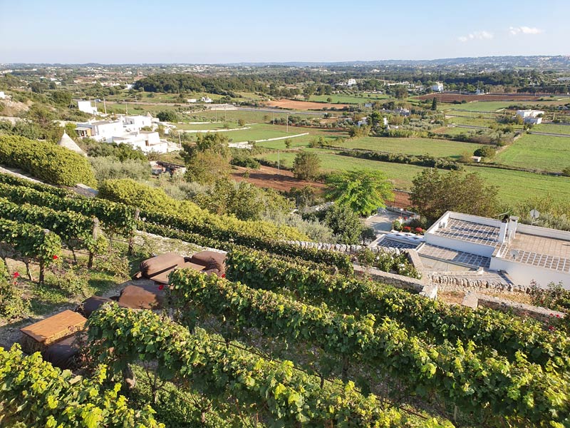 Where to Go Wine Tasting in Puglia, Italy 1 Puglia wineries