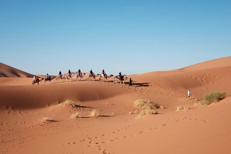 desert camel ride