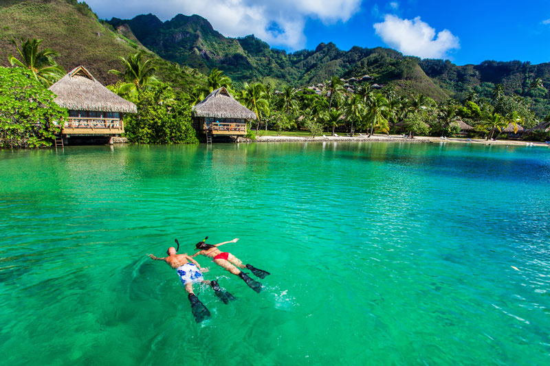 snorkeling in the Caribbean