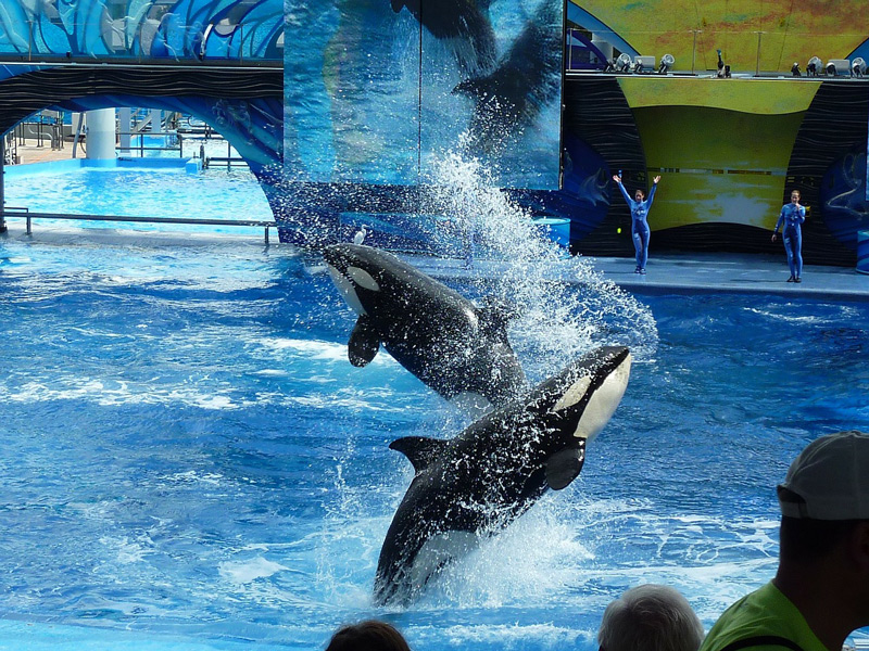 Sea World San Diego