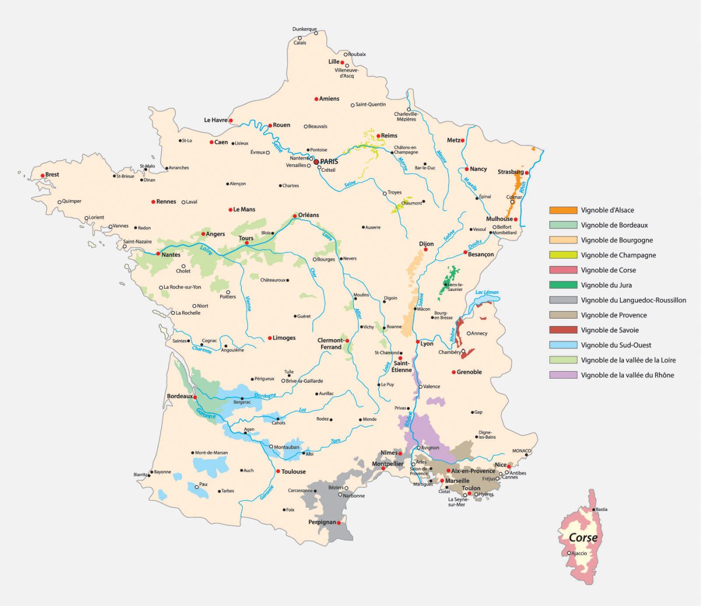 11 Top Wine Regions in France to Visit Savored Journeys