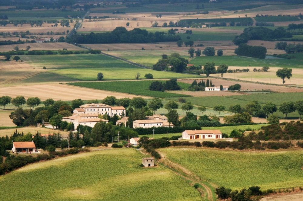 vineyards in Languedoc wine region