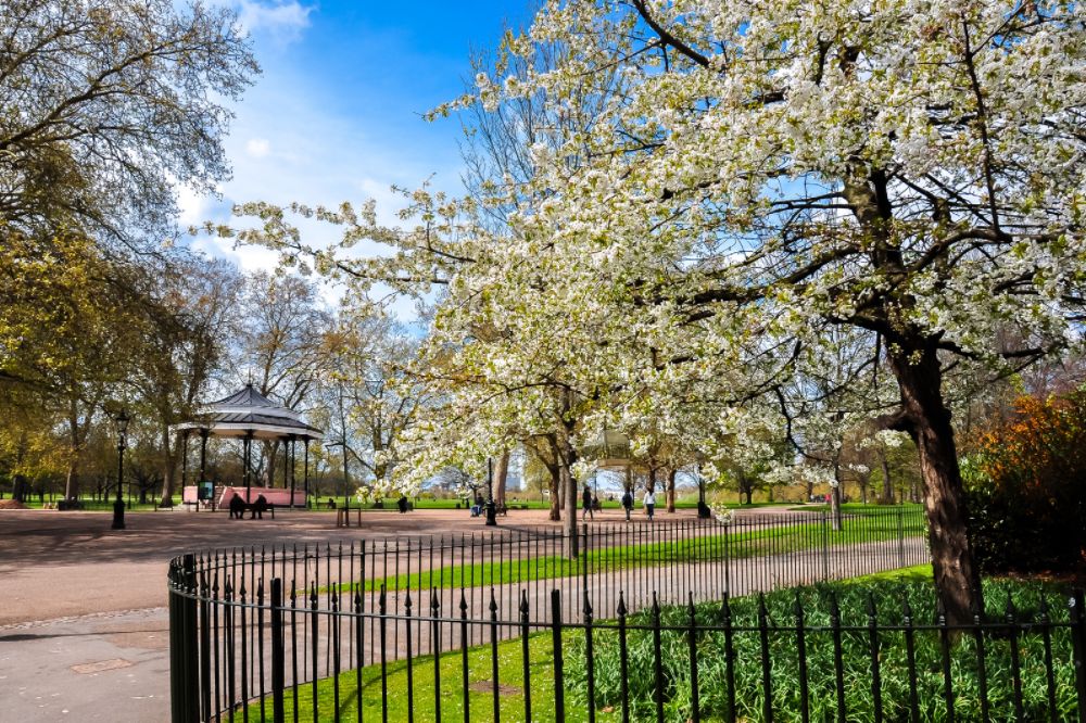 One-Day Walking Tour of London's Top Sights 6 hyde park