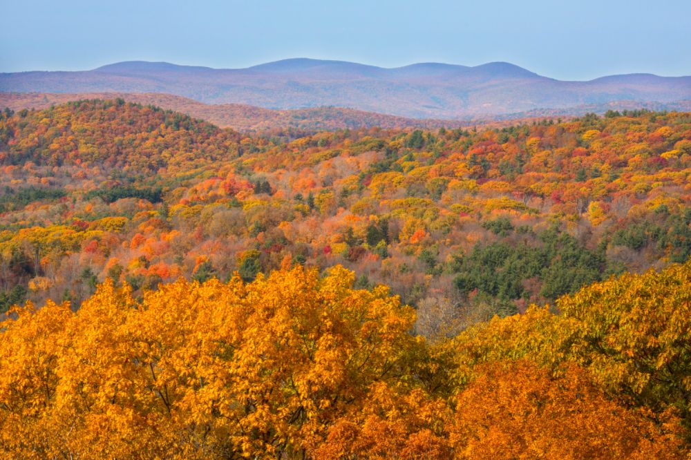 Connecticut in Fall