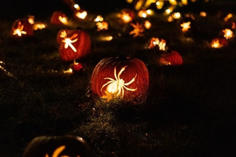 spooky pumpkins USA