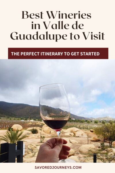 Best Wineries in Valle de Guadalupe to Visit - Savored Journeys