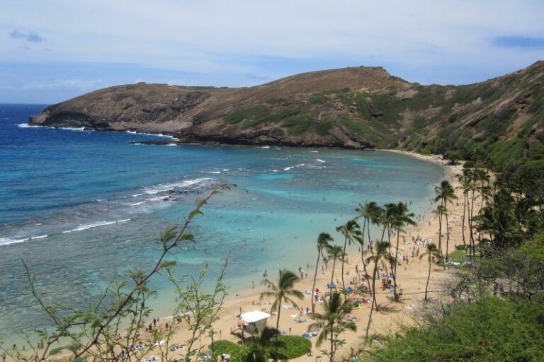 Best Snorkeling in Oahu Ultimate Beaches for Snorkel Spots