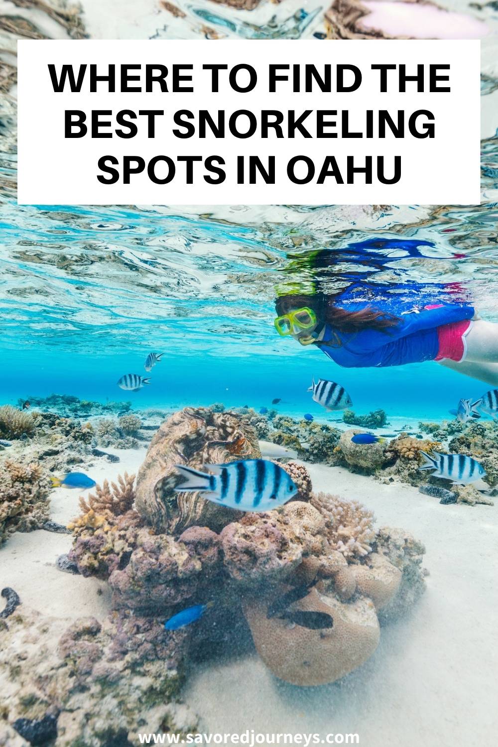Oahu snorkeling