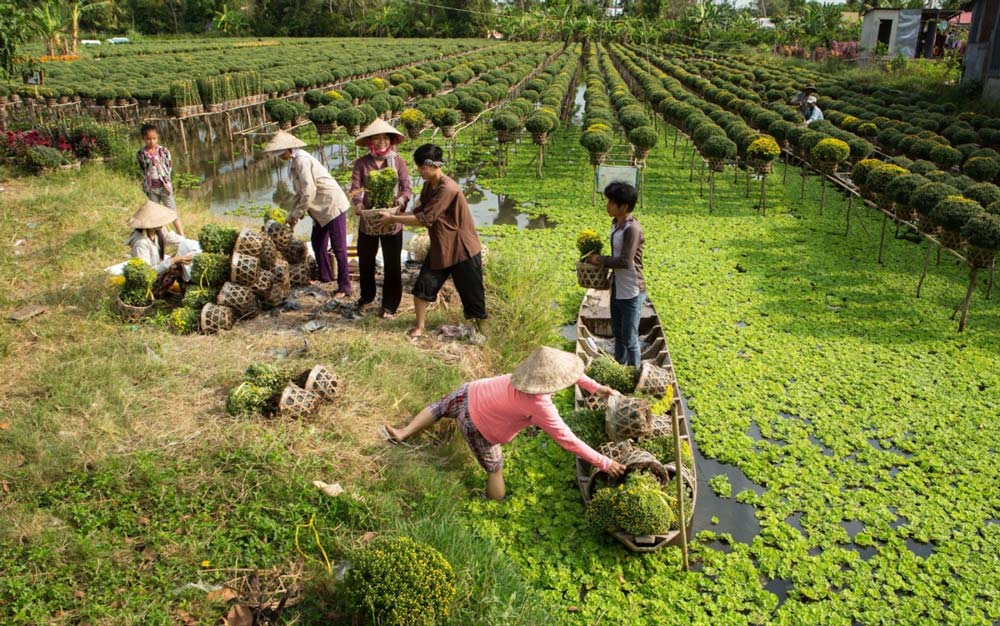 Experience the Wonders of a Fabulous Mekong Delta Cruise 4 Mekong Delta