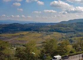 Montepulciano Vineyards