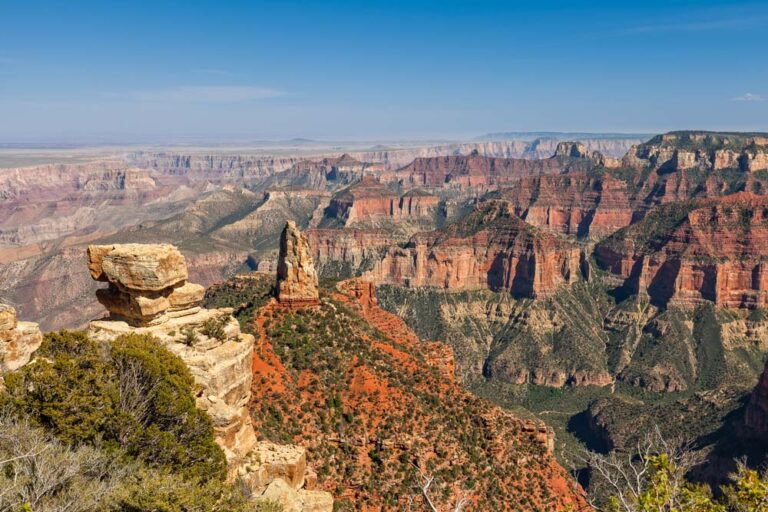 Exploring the Grand Canyon: North Rim vs South Rim - Savored Journeys
