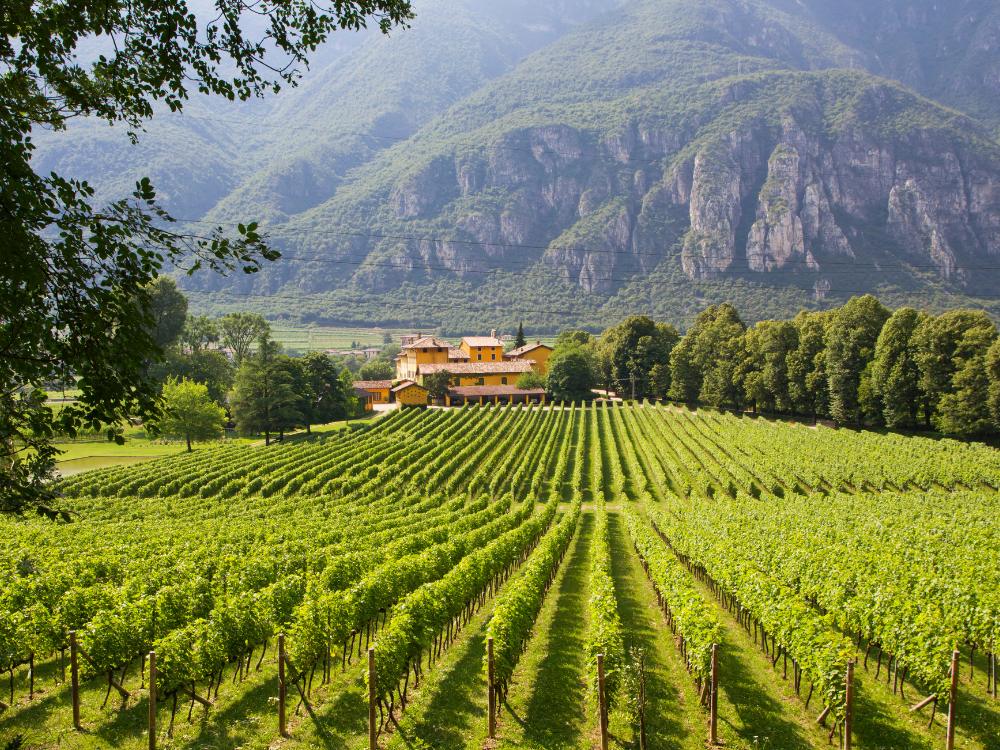 20 Best Things to Do in Verona, Italy 15 Trento