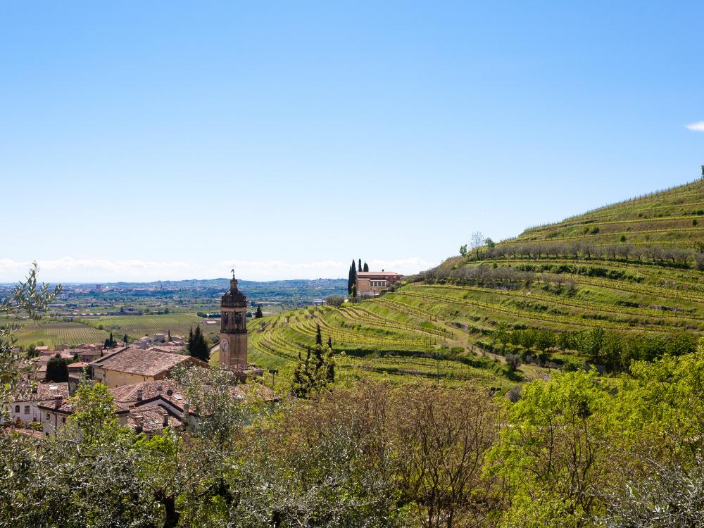 20 Best Things to Do in Verona, Italy 16 Valpolicella 1