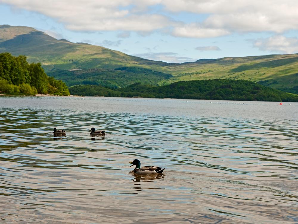 Loch Lomond