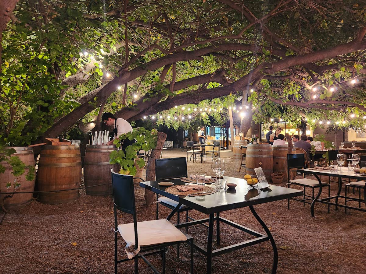 Where to Go for a Wine-Paired Lunch or Dinner in Mendoza 14 fogon