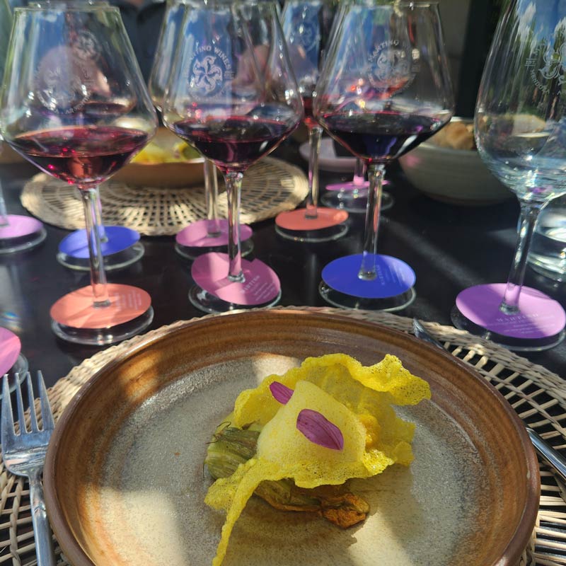 Where to Go for a Wine-Paired Lunch or Dinner in Mendoza 6 Martino Wines