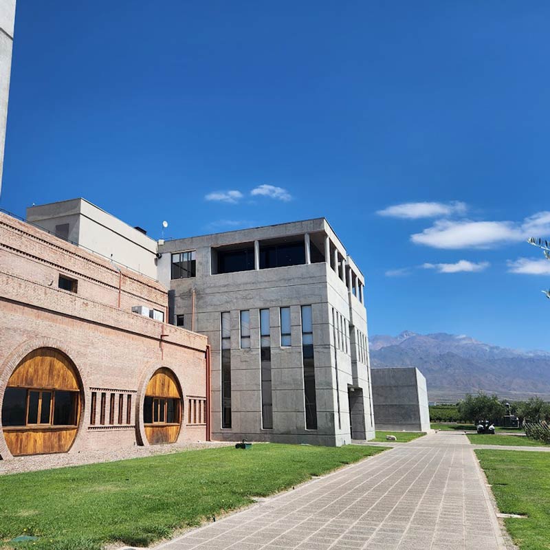 Where to Go for a Wine-Paired Lunch or Dinner in Mendoza 3 montevideo