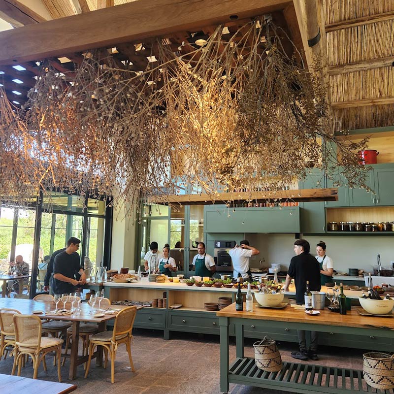 Where to Go for a Wine-Paired Lunch or Dinner in Mendoza 9 zonda