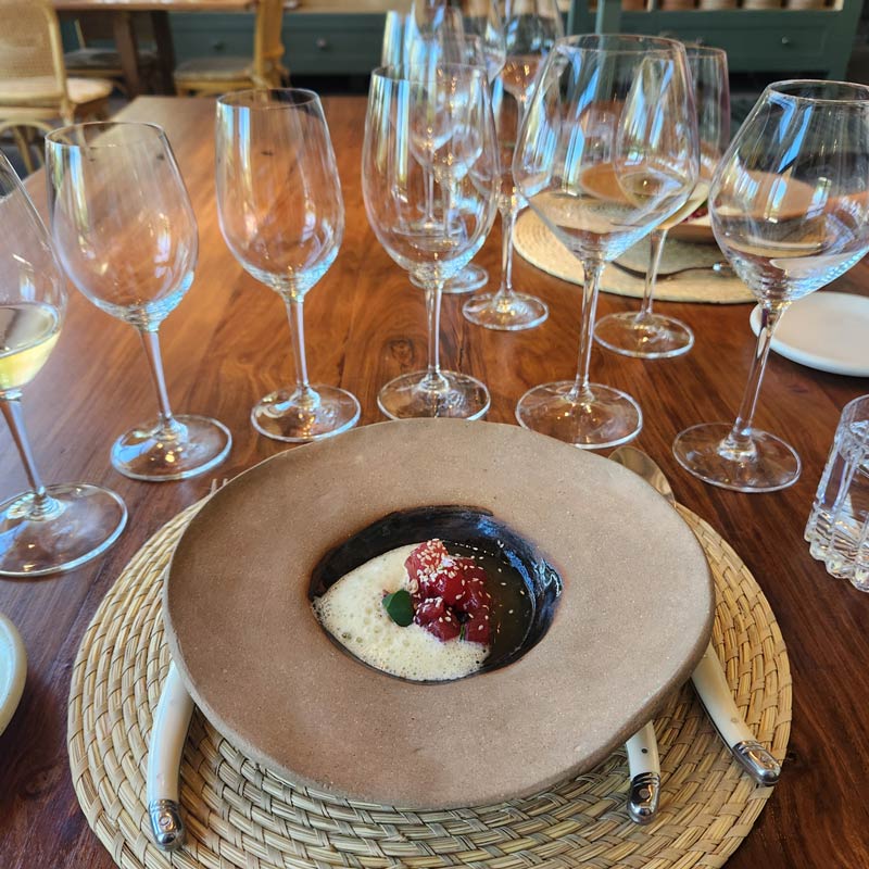 Where to Go for a Wine-Paired Lunch or Dinner in Mendoza 11 zonda