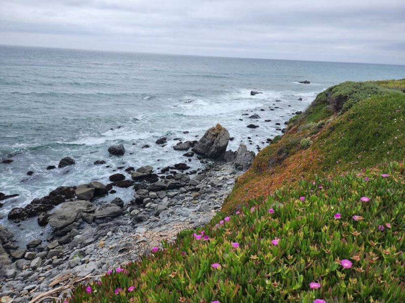 Cambria marine preservation airea