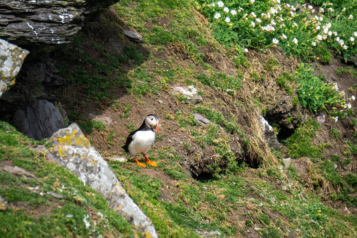 Skellig Michael