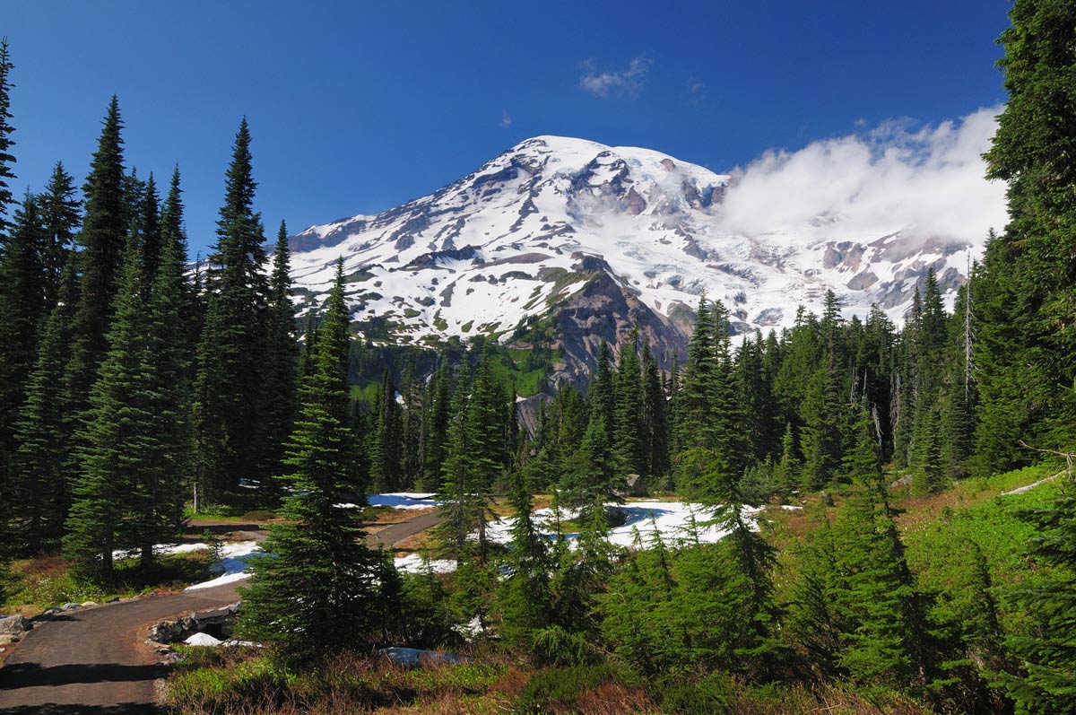 Mount Rainier