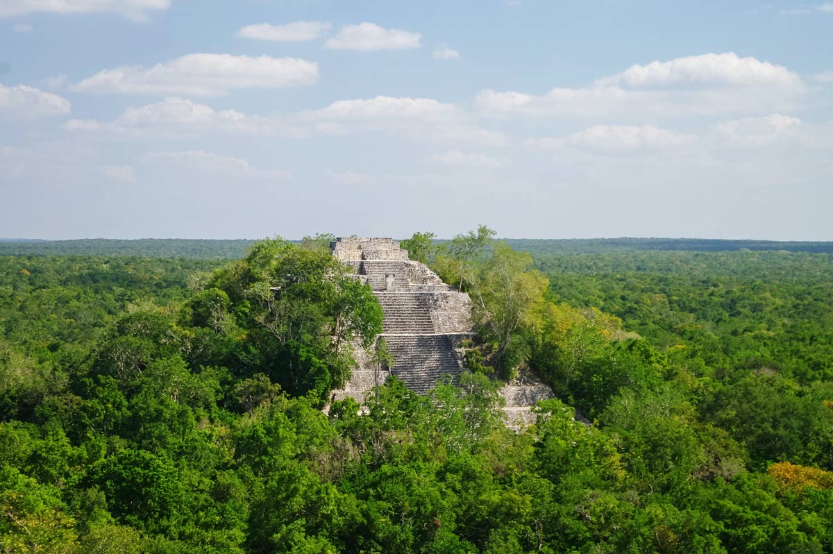 7 Must-Visit Mayan Ruins in Mexico That Bring Ancient Wonders to Life 7 Calakmul