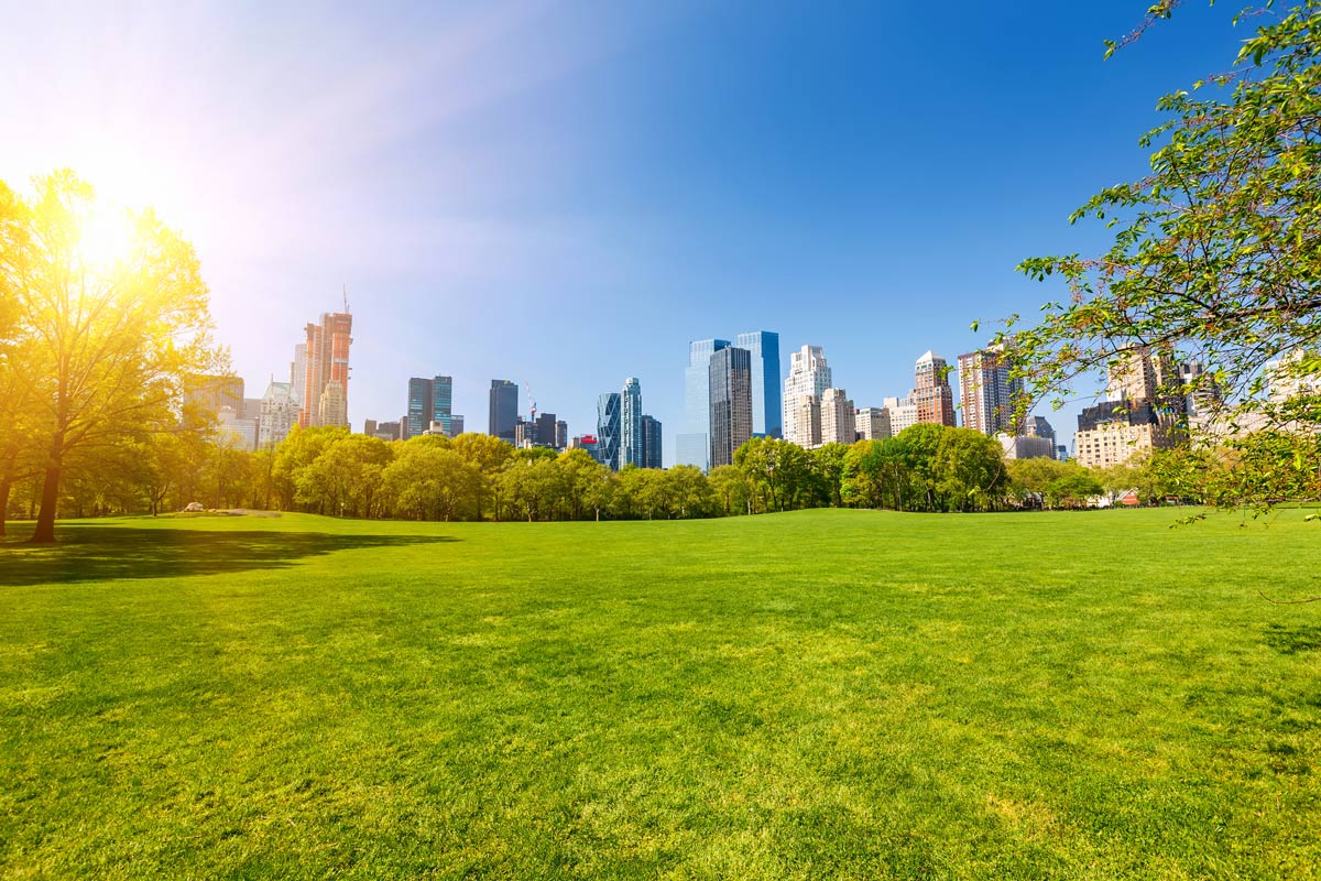 10 Unique Ways to Experience Central Park Like a Local 10 Great Lawn Central Park