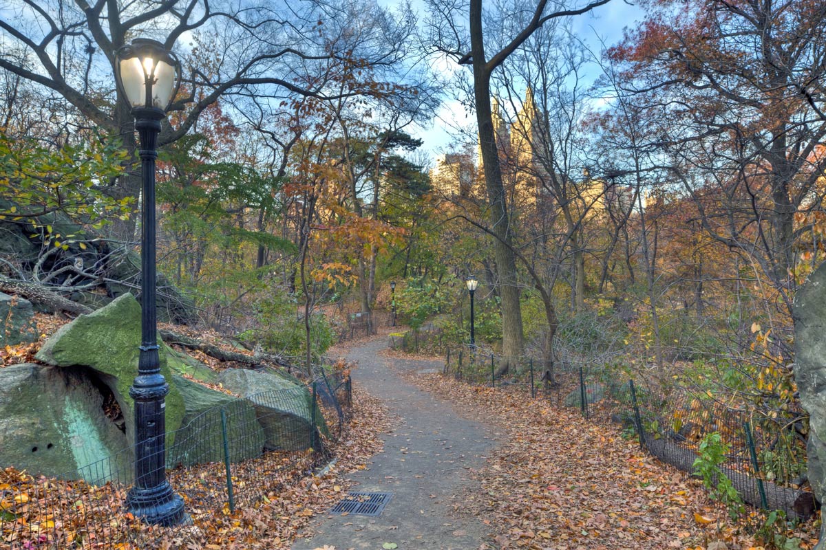10 Unique Ways to Experience Central Park Like a Local 7 Rambles