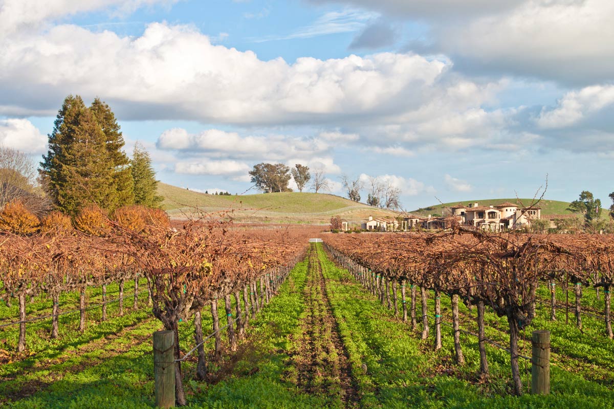 10 Beautiful Wine Regions You Didn’t Know Existed 8 North Coast Wine Region