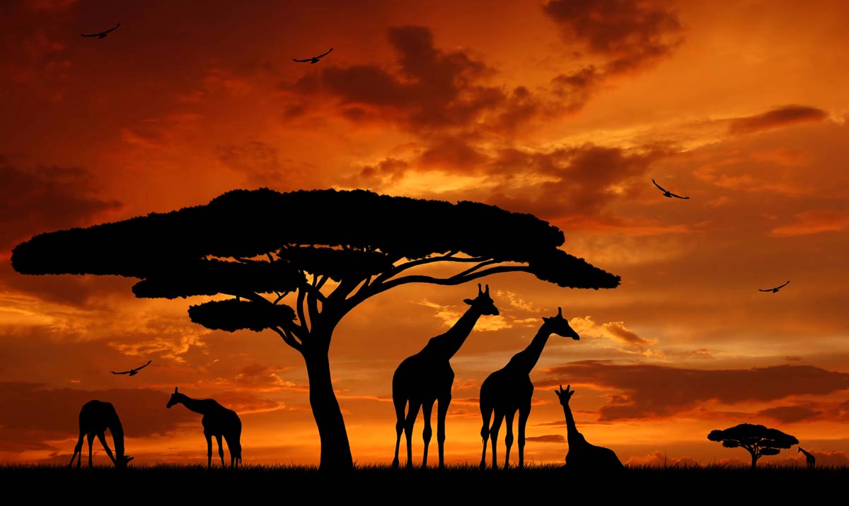 The World’s Most Memorable Sunset Views 4 Serengeti sunset